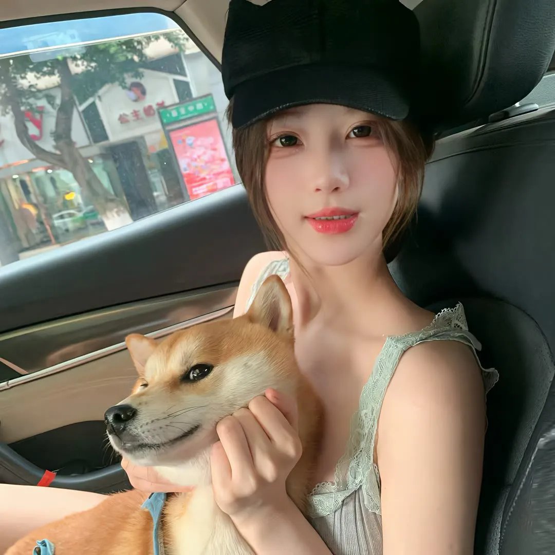 我的会长大人